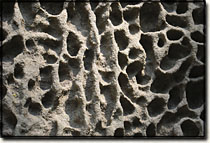 "Waben" eine Art der Struktur des Sandsteines